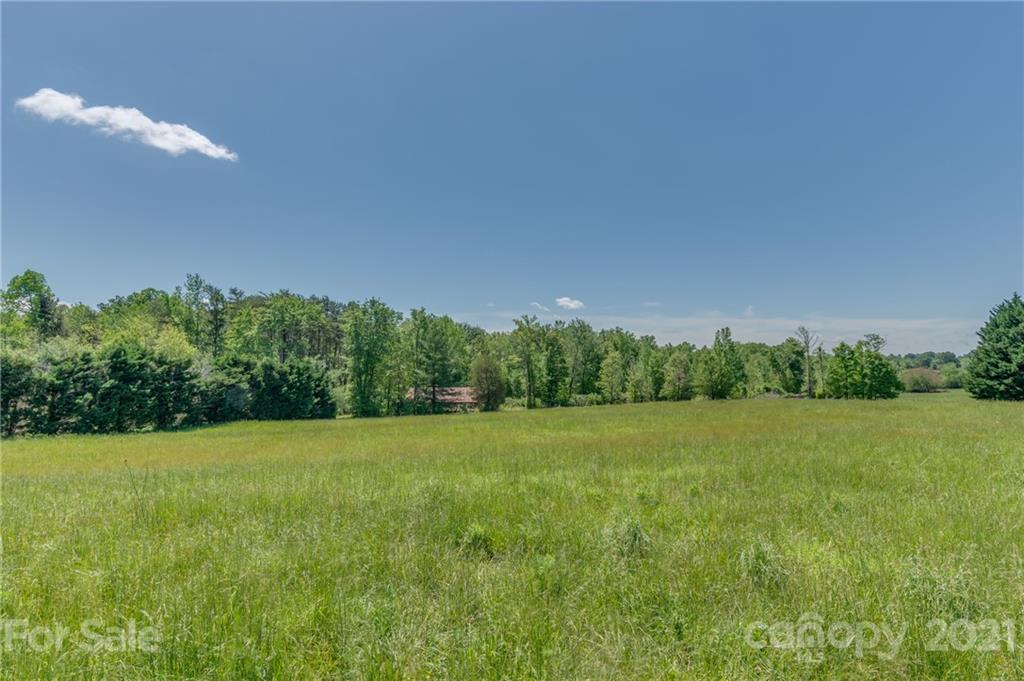 606 Old Stonecutter Road Rutherfordton, NC 28139 - Photo 45 of 48 a view of field with tall trees