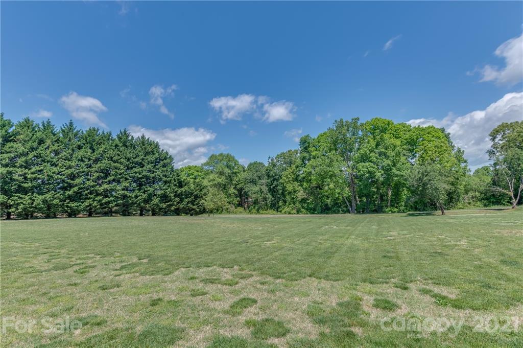 606 Old Stonecutter Road Rutherfordton, NC 28139 - Photo 48 of 48 a view of a field with trees in background