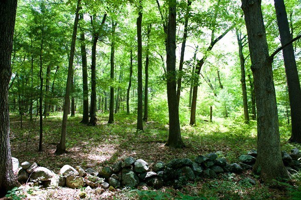 35 Huckleberry Hill Road Lincoln, MA 01773 - Photo 13 of 20 Gallery Image 13