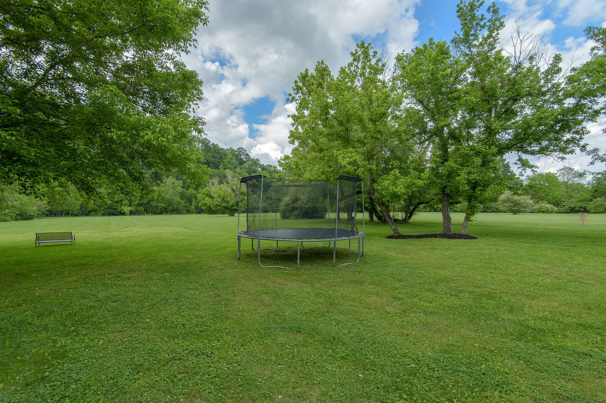 5125 Old Harding Road Franklin, TN 37064 - Photo 42 of 50 a garden view