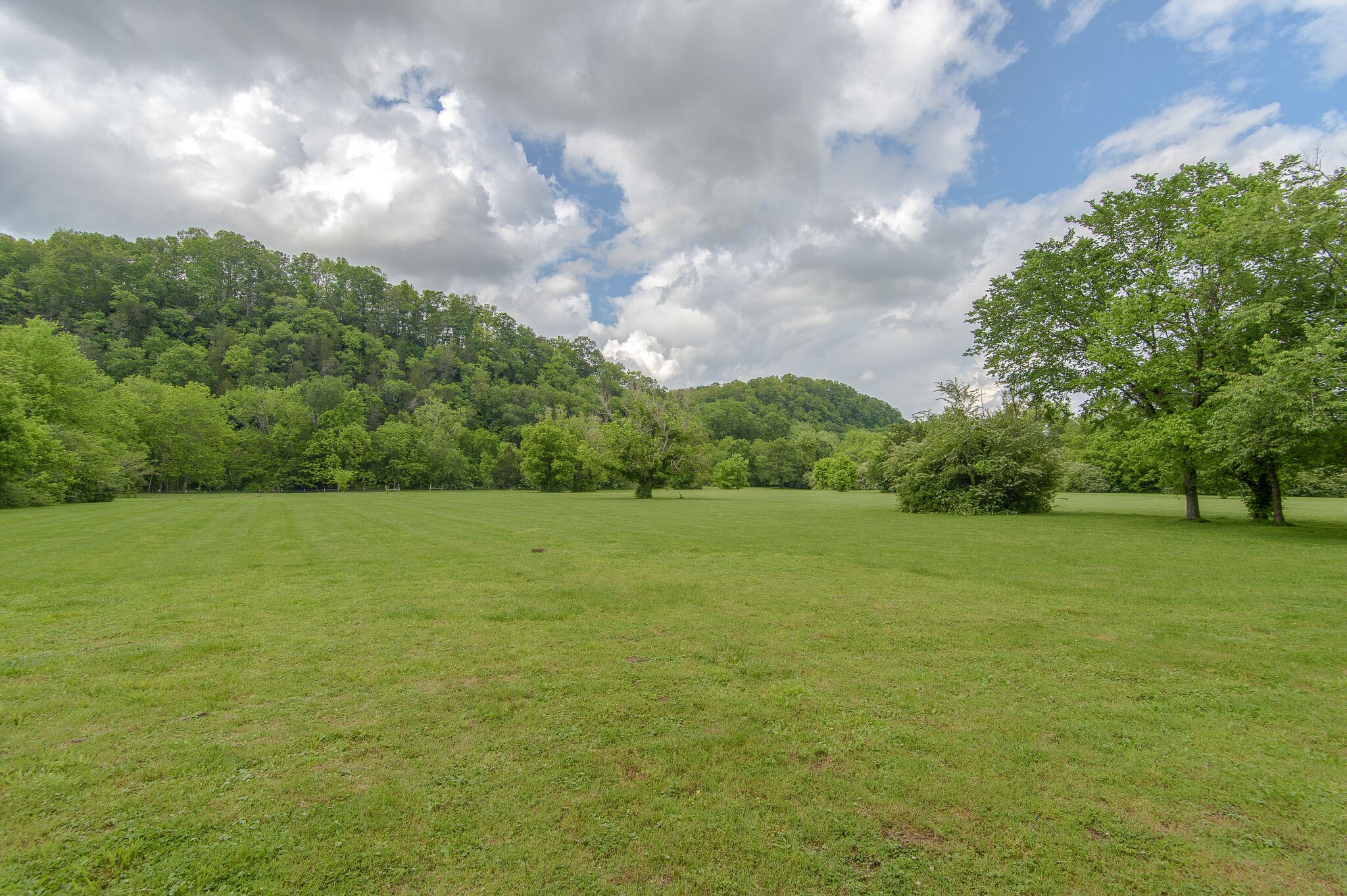 5125 Old Harding Road Franklin, TN 37064 - Photo 43 of 50 a view of a field with an trees