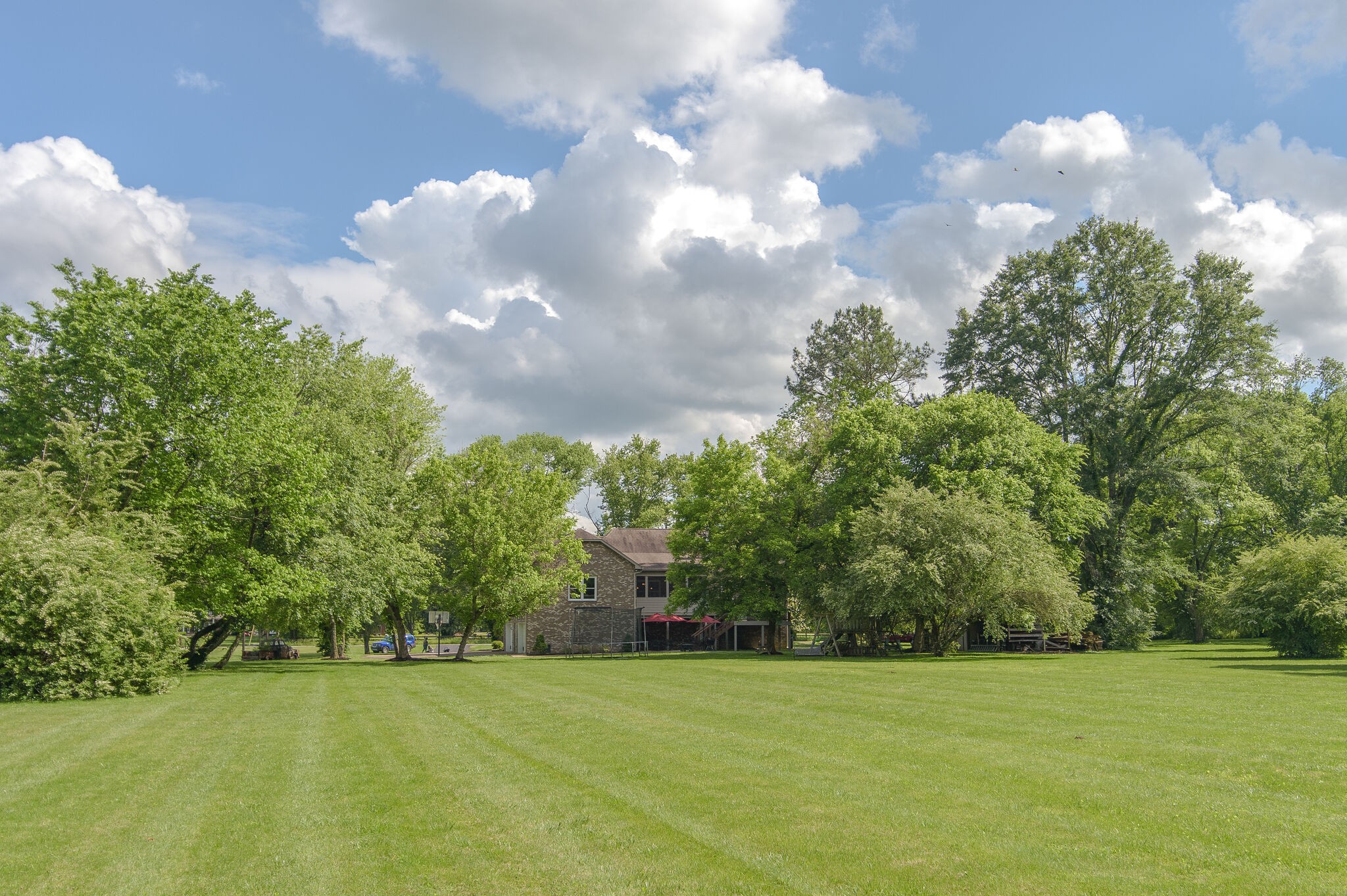 5125 Old Harding Road Franklin, TN 37064 - Photo 44 of 50 a view of a big yard with large trees