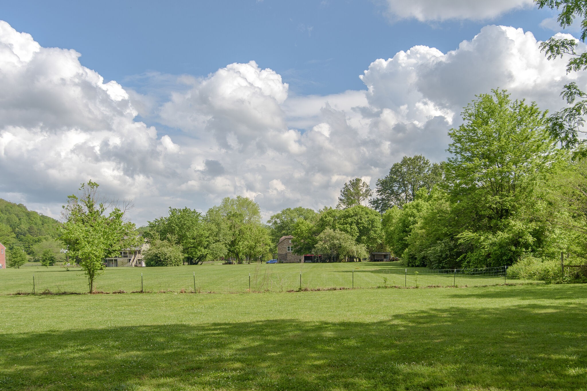 5125 Old Harding Road Franklin, TN 37064 - Photo 45 of 50 a view of a golf course with a lake