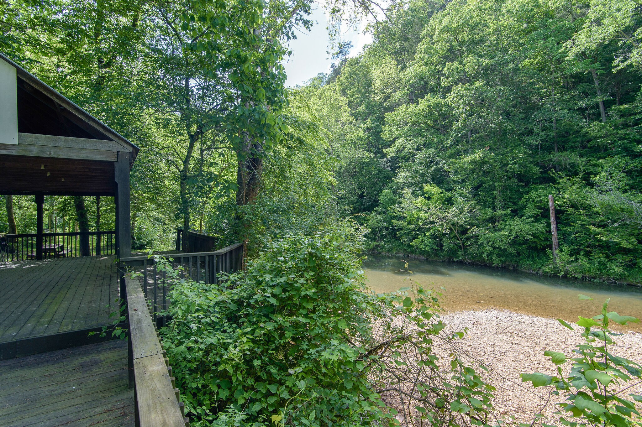 5125 Old Harding Road Franklin, TN 37064 - Photo 47 of 50 a view of backyard with green space