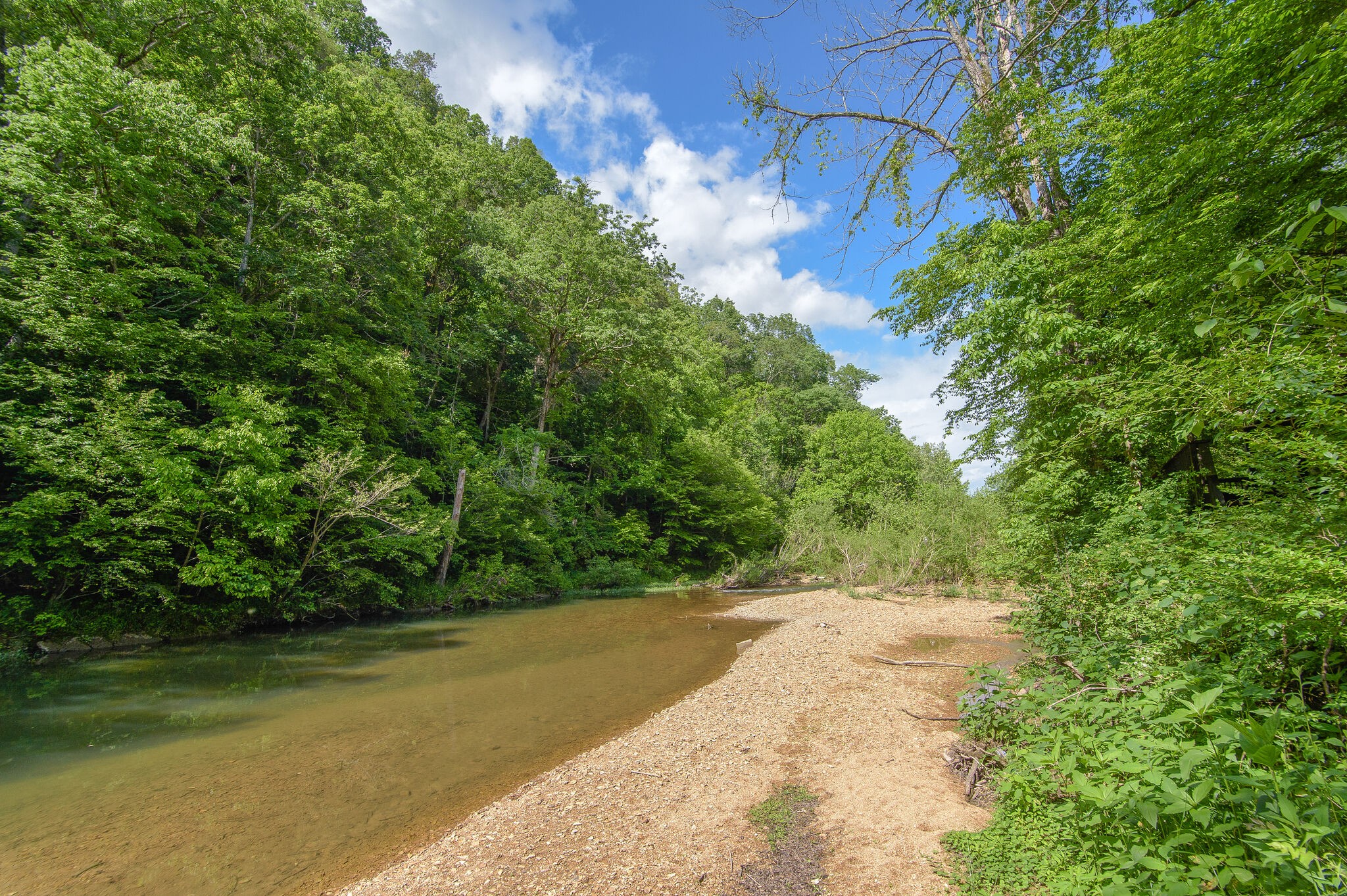 5125 Old Harding Road Franklin, TN 37064 - Photo 48 of 50 a view of a yard with large trees