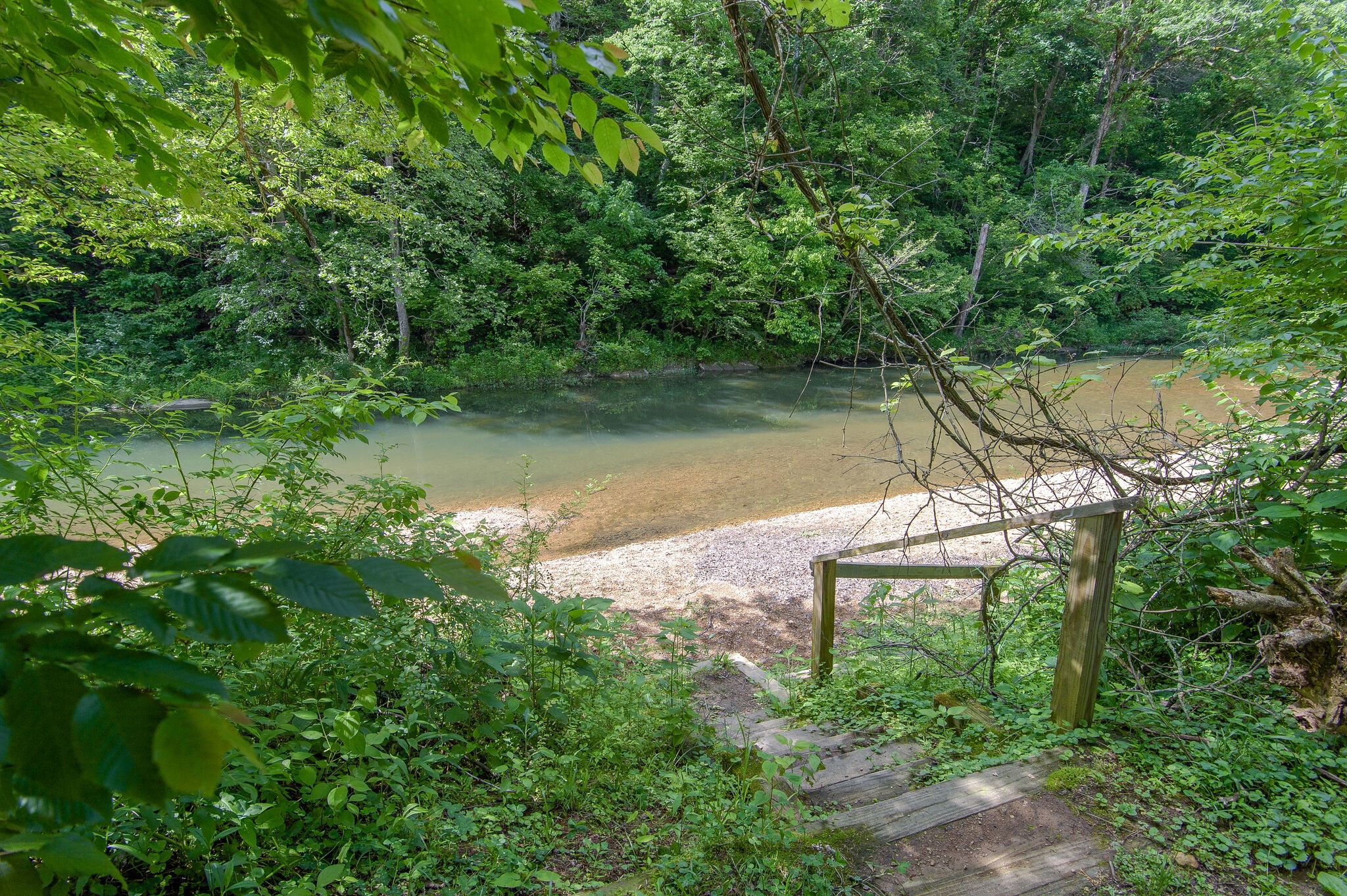 5125 Old Harding Road Franklin, TN 37064 - Photo 50 of 50 a view of a lake in middle of forest