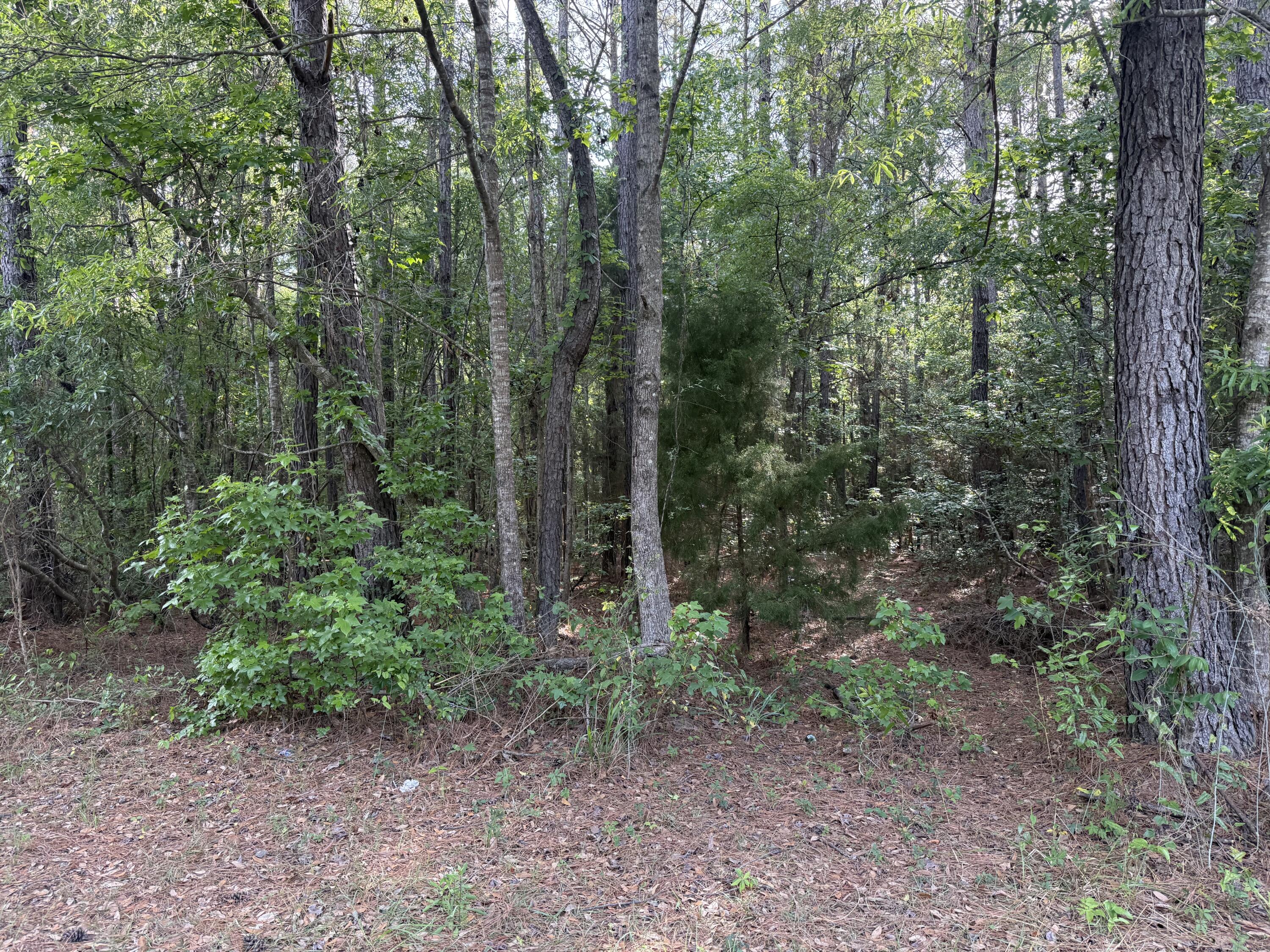 0 Sable Lane Huger, SC 29450 - Photo 2 of 4 IMG_1212