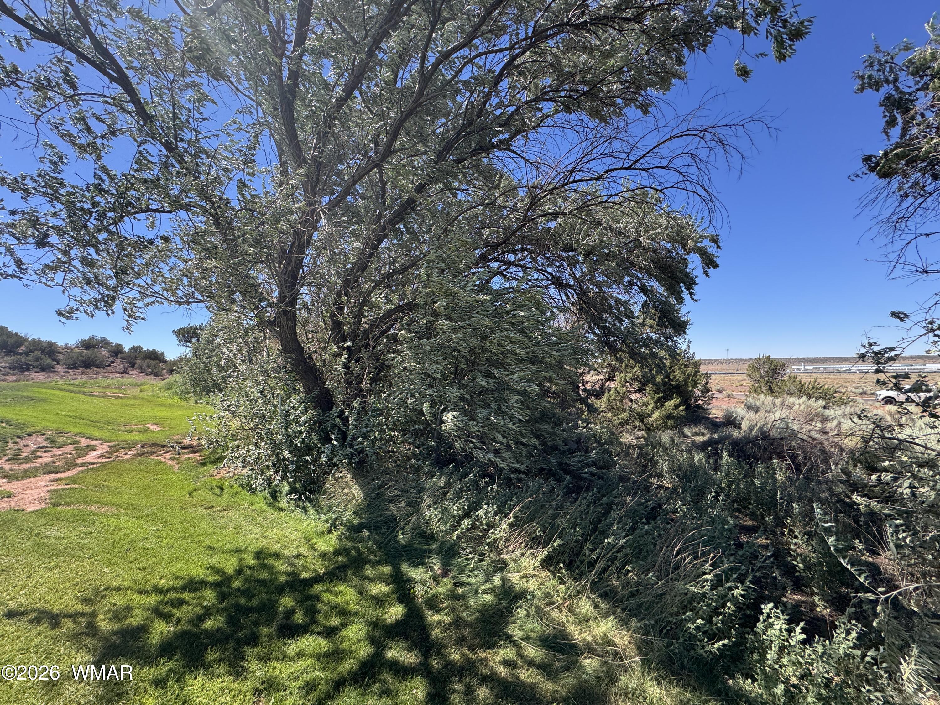 W Sand Trap Lane Snowflake, AZ 85937 - Photo 8 of 11 a view of a yard with a tree