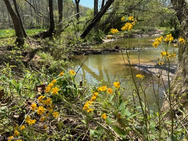 Tbd German Farm Road Boomer, NC 28606 - Photo 2 of 50