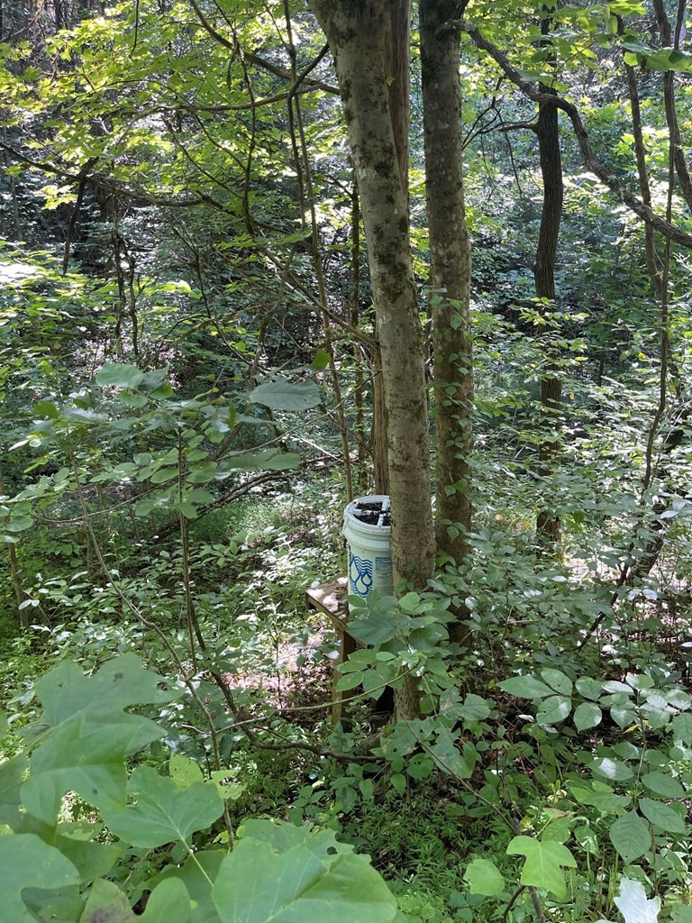 1549 Douglas Dam Road Sevierville, TN 37876 - Photo 27 of 30