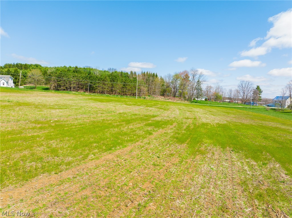 9050 Freeman Road Lisbon, OH 44432 - Photo 41 of 50