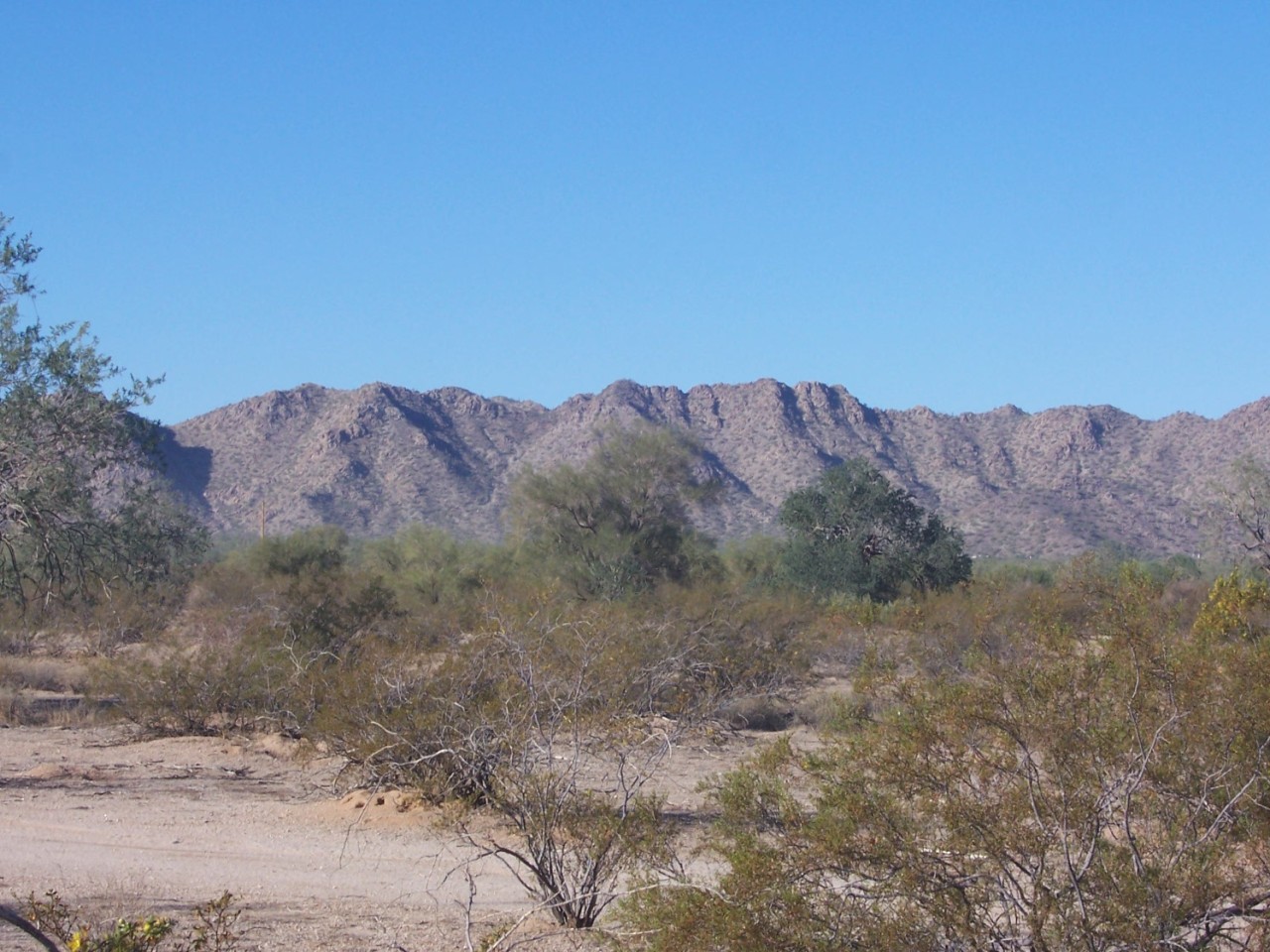 51281 West Agate Road Maricopa, AZ 85139 - Photo 2 of 13 view from home