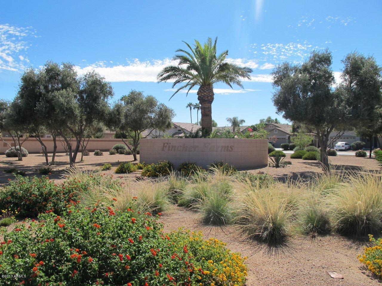 1890 South Rome Street Gilbert, AZ 85295 - Photo 15 of 18 a view of a yard with palm tree