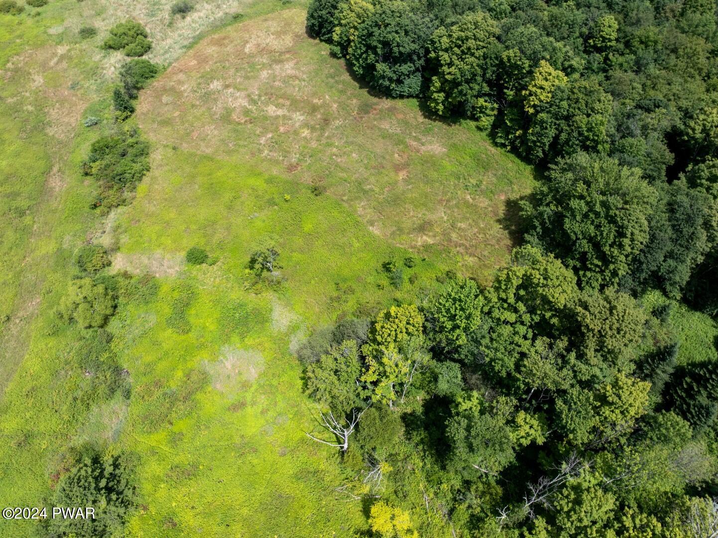 266 Neville Road Moscow, PA 18444 - Photo 29 of 30 a view of a big yard with lots of bushes