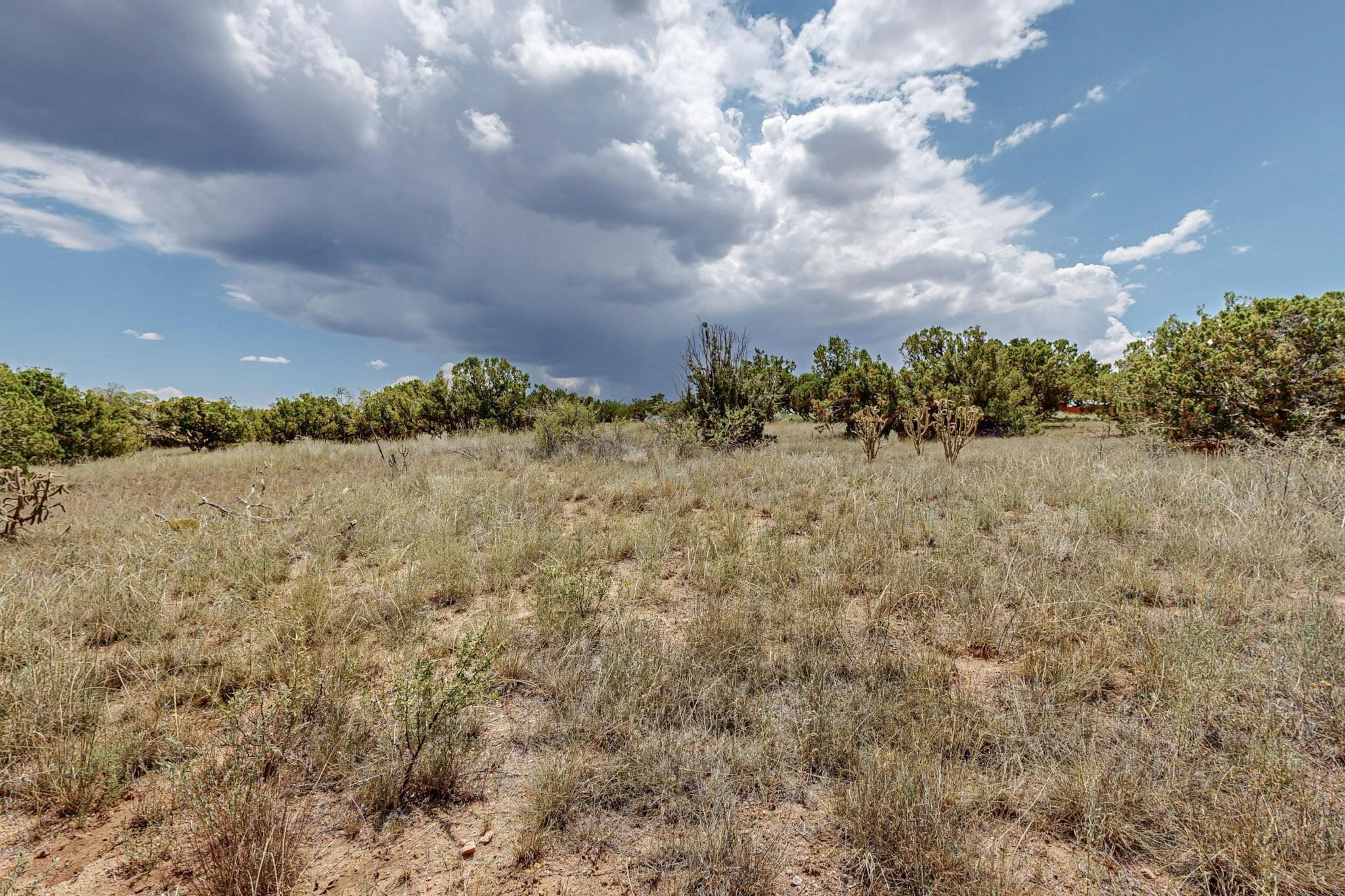15 Dovela Road Santa Fe, NM 87508 - Photo 6 of 11