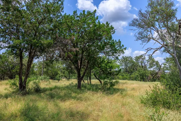 a view of backyard with green space