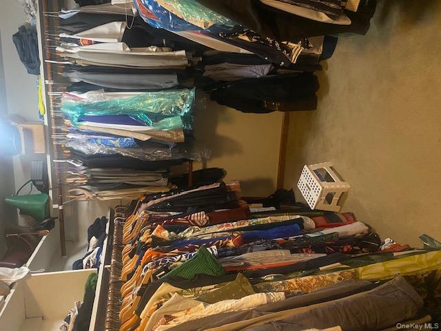 52 Woodland Road Highland Mills, NY 10930 - Photo 24 of 47 Spacious closet featuring light carpet