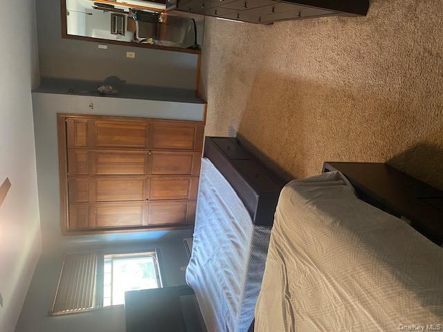 52 Woodland Road Highland Mills, NY 10930 - Photo 30 of 47 Bedroom with light carpet, a closet, ceiling fan, and a baseboard heating unit