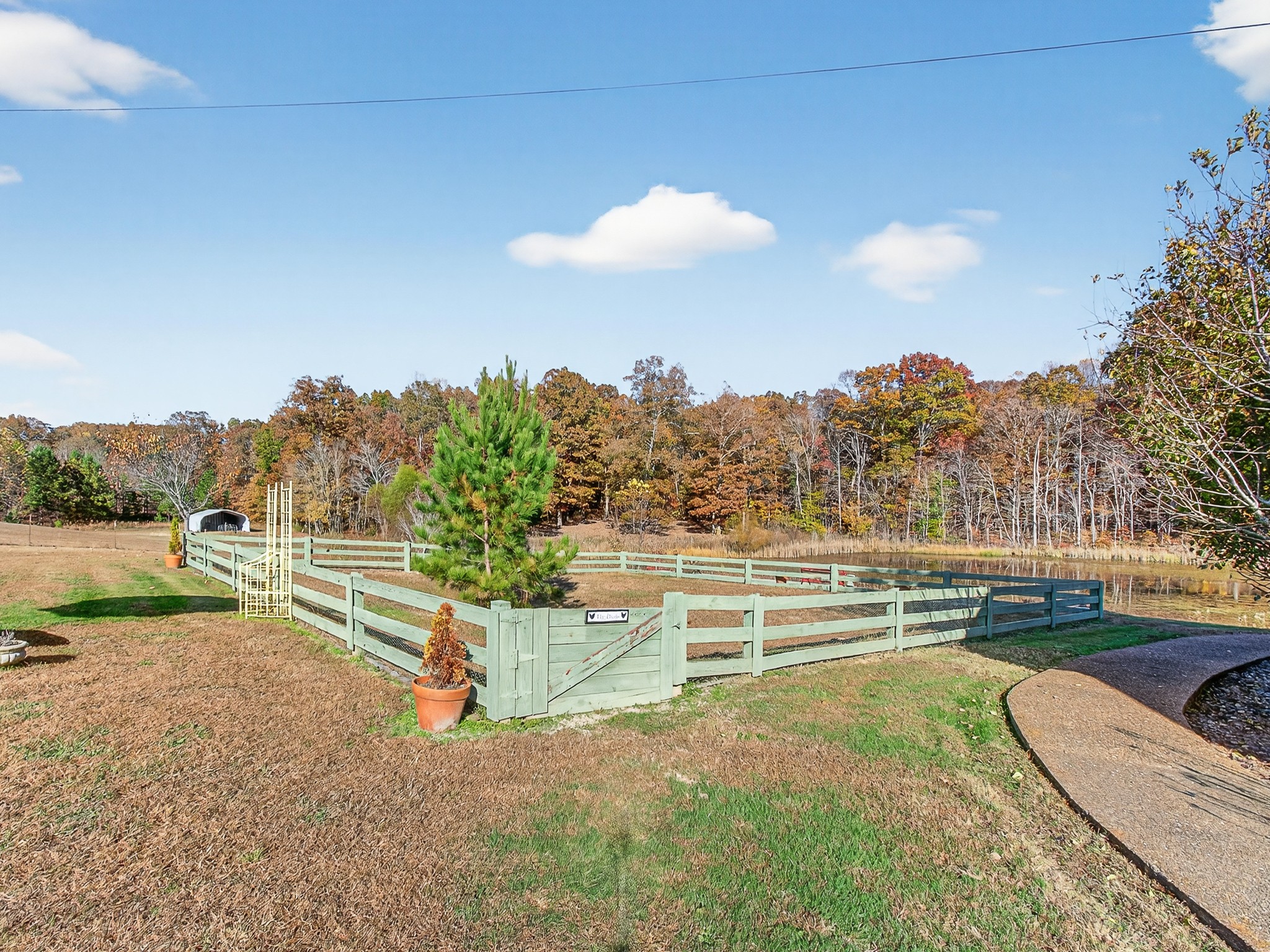 129 Leland Road Summertown, TN 38483 - Photo 11 of 81 a view of outdoor space and yard