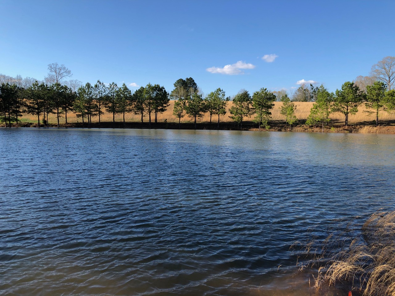 129 Leland Road Summertown, TN 38483 - Photo 17 of 81 a view of a lake with houses in the background