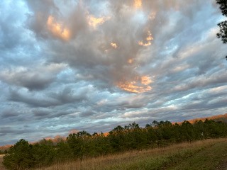 129 Leland Road Summertown, TN 38483 - Photo 20 of 81