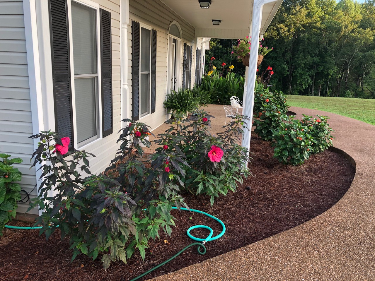 129 Leland Road Summertown, TN 38483 - Photo 22 of 81