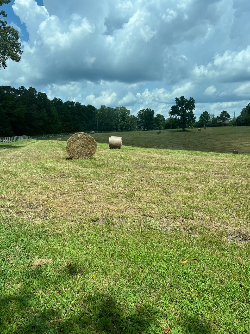 129 Leland Road Summertown, TN 38483 - Photo 78 of 81 a view of a lake with houses in back