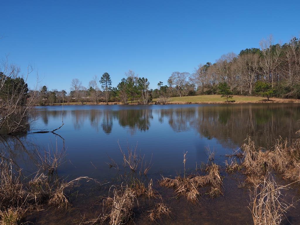 Xxx Joel Lang Road Magnolia, MS 39652 - Photo 1 of 58 Main View