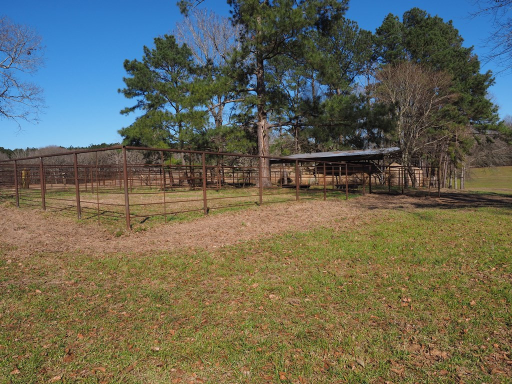 Xxx Joel Lang Road Magnolia, MS 39652 - Photo 11 of 58 Photo 11