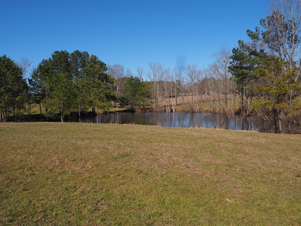 Xxx Joel Lang Road Magnolia, MS 39652 - Photo 13 of 58 Photo 13