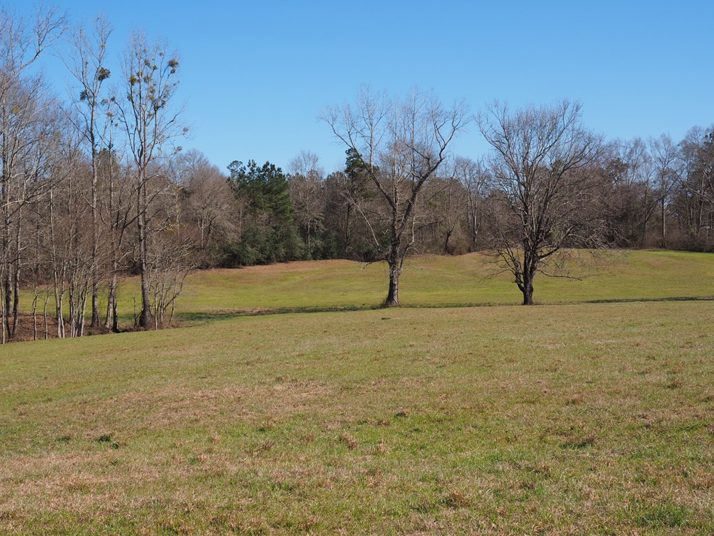 Xxx Joel Lang Road Magnolia, MS 39652 - Photo 16 of 58 Photo 16