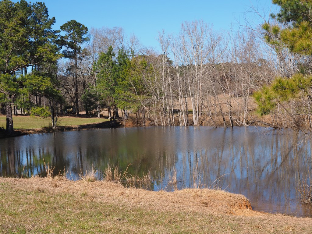 Xxx Joel Lang Road Magnolia, MS 39652 - Photo 21 of 58 Photo 21
