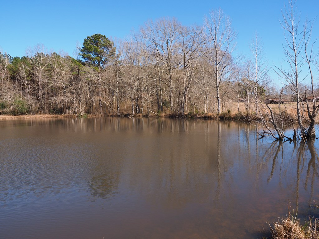 Xxx Joel Lang Road Magnolia, MS 39652 - Photo 22 of 58 Photo 22