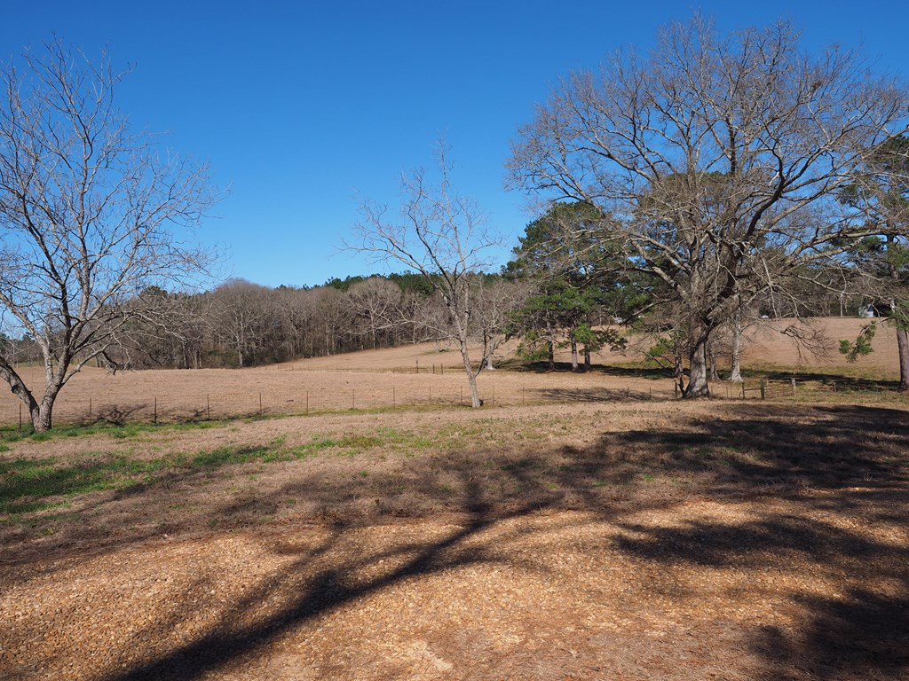 Xxx Joel Lang Road Magnolia, MS 39652 - Photo 24 of 58 Photo 24