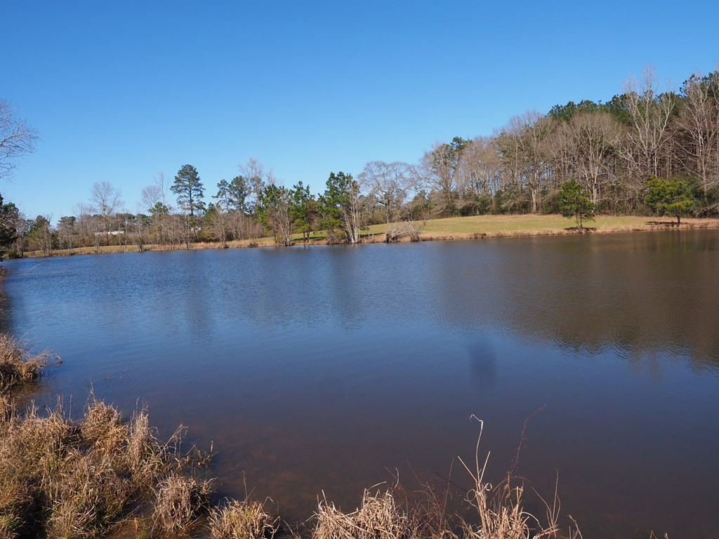 Xxx Joel Lang Road Magnolia, MS 39652 - Photo 26 of 58 Photo 26