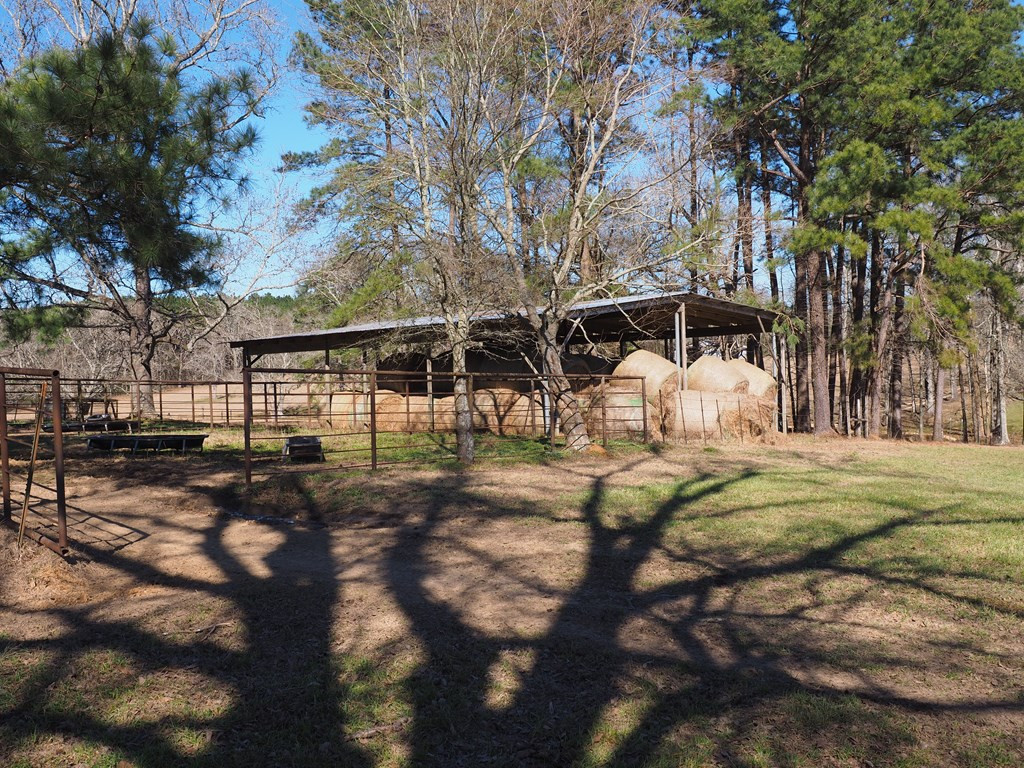 Xxx Joel Lang Road Magnolia, MS 39652 - Photo 28 of 58 Photo 28