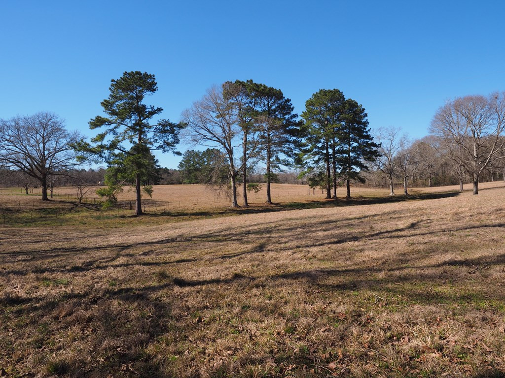 Xxx Joel Lang Road Magnolia, MS 39652 - Photo 29 of 58 Photo 29