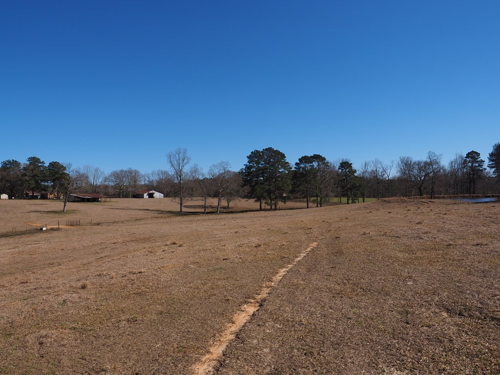 Xxx Joel Lang Road Magnolia, MS 39652 - Photo 33 of 58 Photo 33