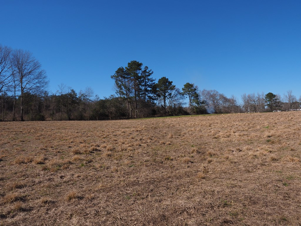 Xxx Joel Lang Road Magnolia, MS 39652 - Photo 34 of 58 Photo 34
