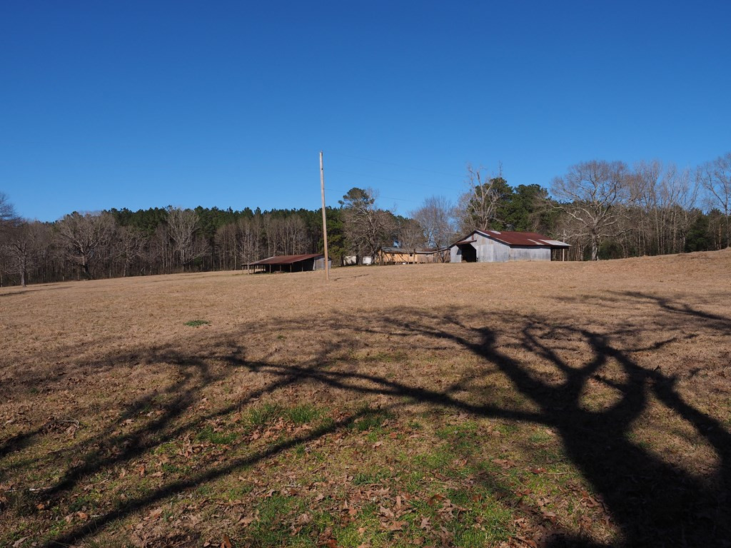Xxx Joel Lang Road Magnolia, MS 39652 - Photo 38 of 58 Photo 38