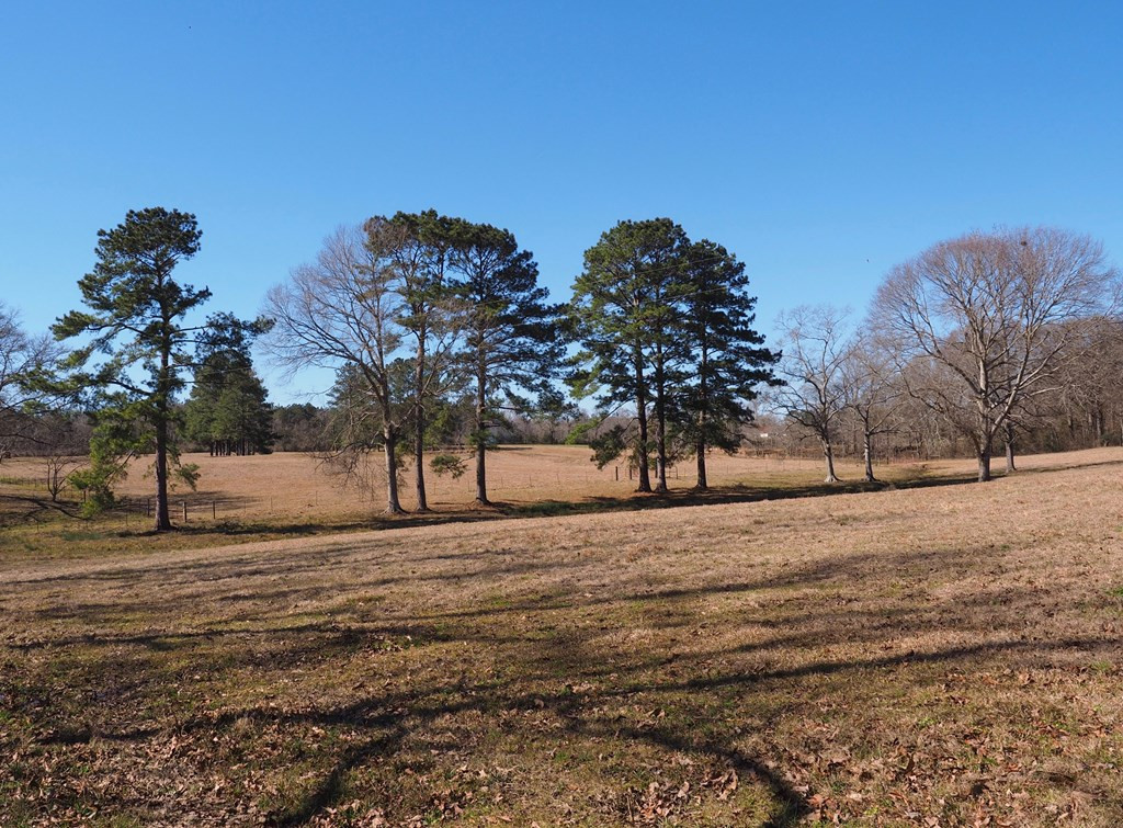 Xxx Joel Lang Road Magnolia, MS 39652 - Photo 39 of 58 Photo 39
