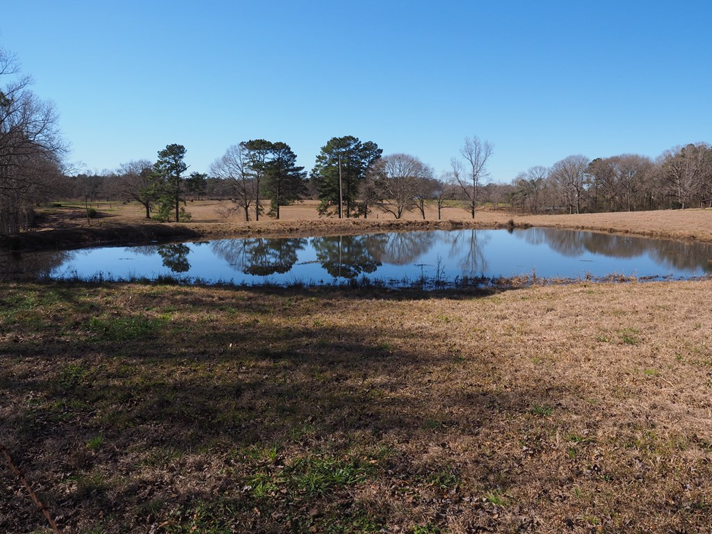Xxx Joel Lang Road Magnolia, MS 39652 - Photo 41 of 58 Photo 41