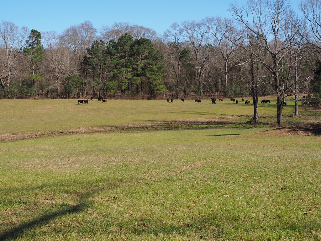 Xxx Joel Lang Road Magnolia, MS 39652 - Photo 46 of 58 Photo 46