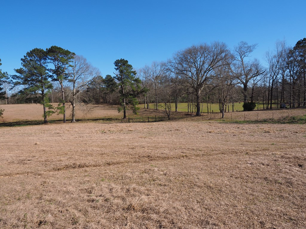 Xxx Joel Lang Road Magnolia, MS 39652 - Photo 48 of 58 Photo 48