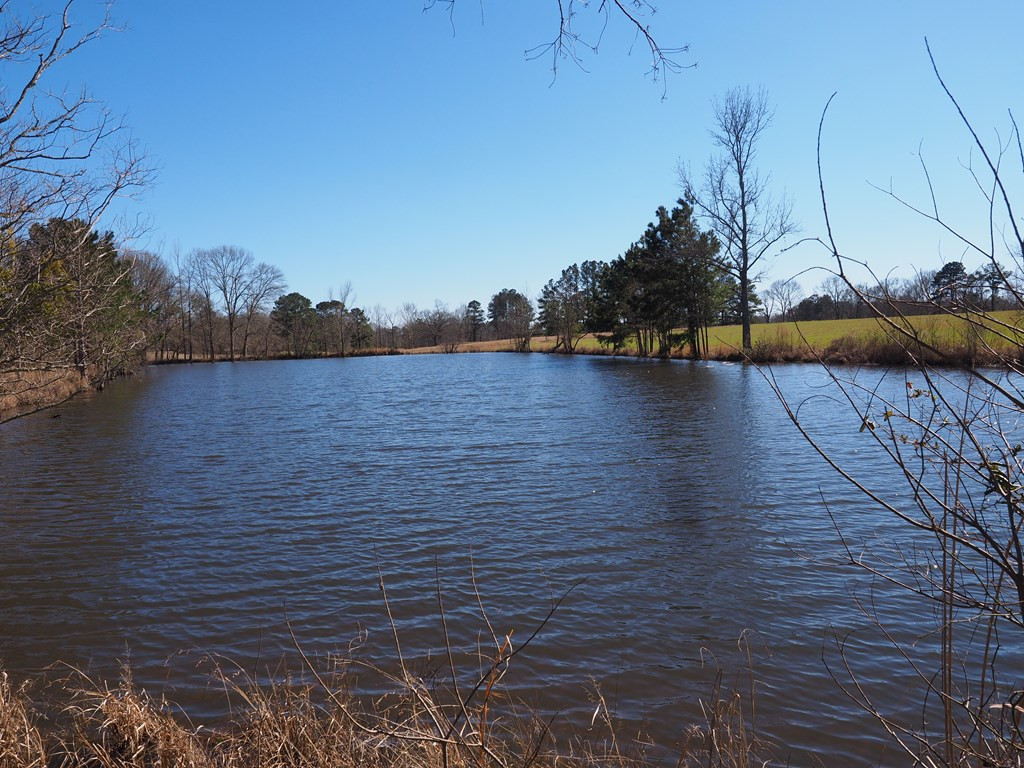 Xxx Joel Lang Road Magnolia, MS 39652 - Photo 50 of 58 Photo 50