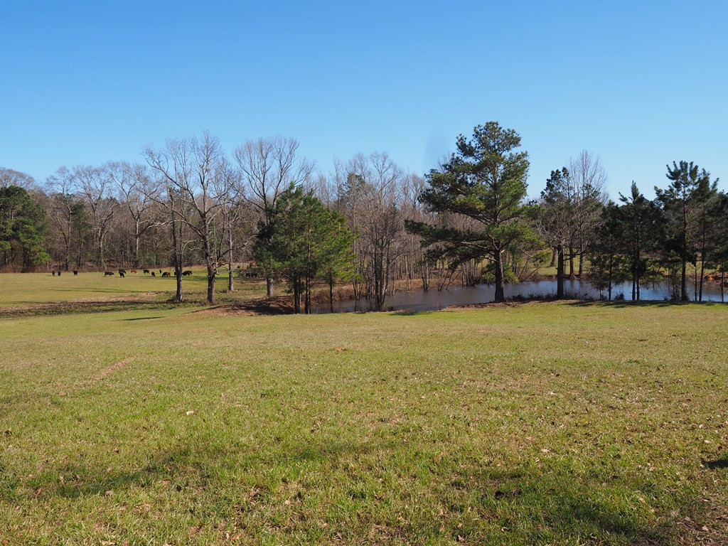 Xxx Joel Lang Road Magnolia, MS 39652 - Photo 51 of 58 Photo 51