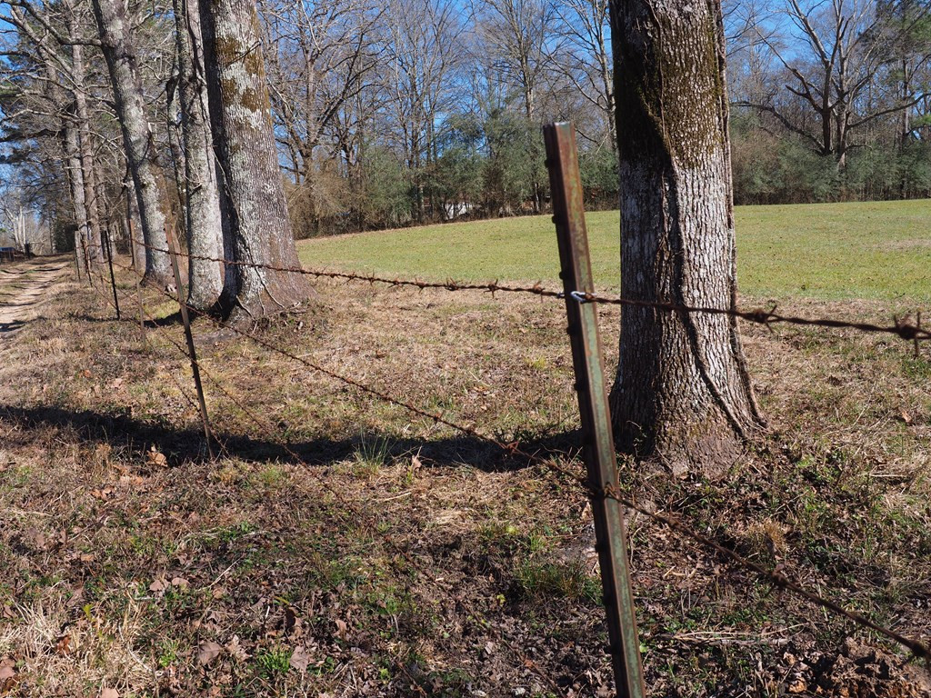 Xxx Joel Lang Road Magnolia, MS 39652 - Photo 53 of 58 Photo 53