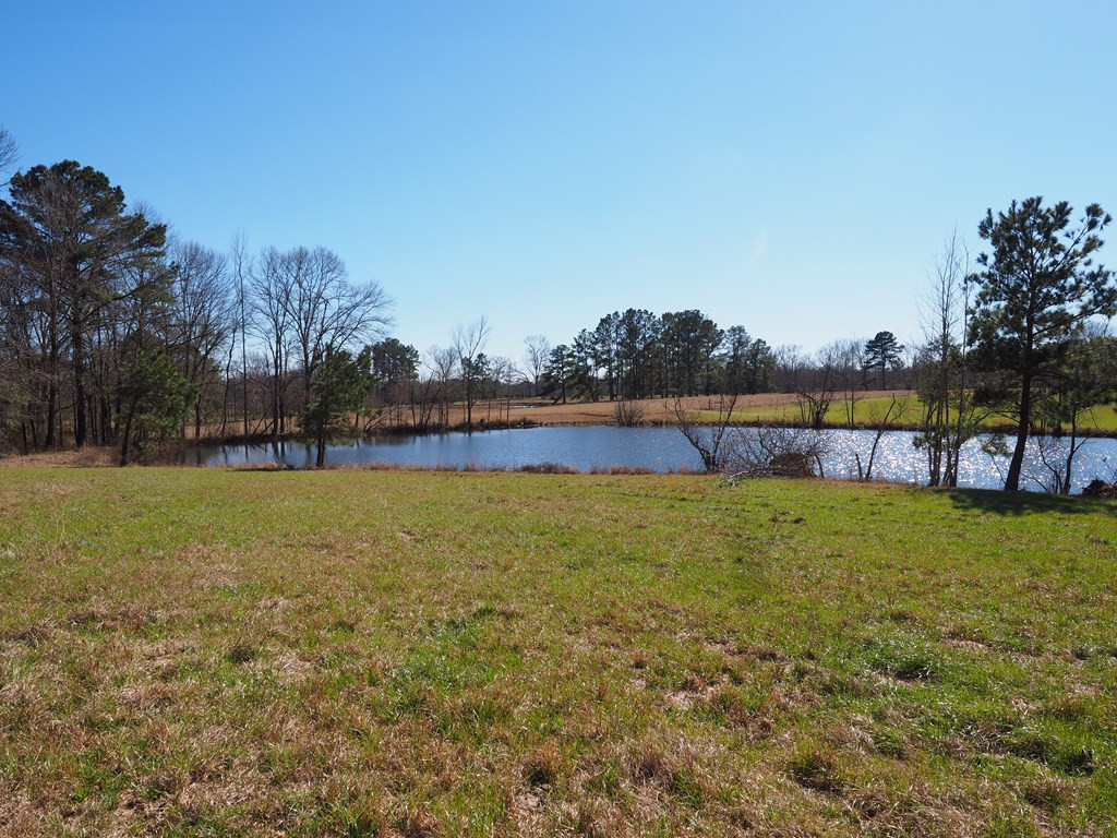 Xxx Joel Lang Road Magnolia, MS 39652 - Photo 54 of 58 Photo 54