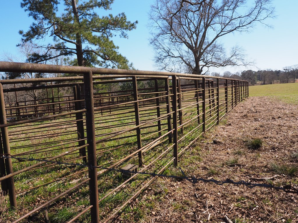 Xxx Joel Lang Road Magnolia, MS 39652 - Photo 8 of 58 Photo 8