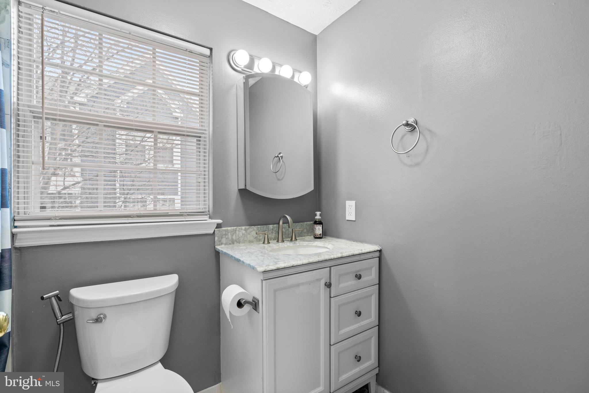 6410 Greenfield Road, Unit 1008 Elkridge, MD 21075 - Photo 8 of 13 a bathroom with a toilet a sink and a mirror